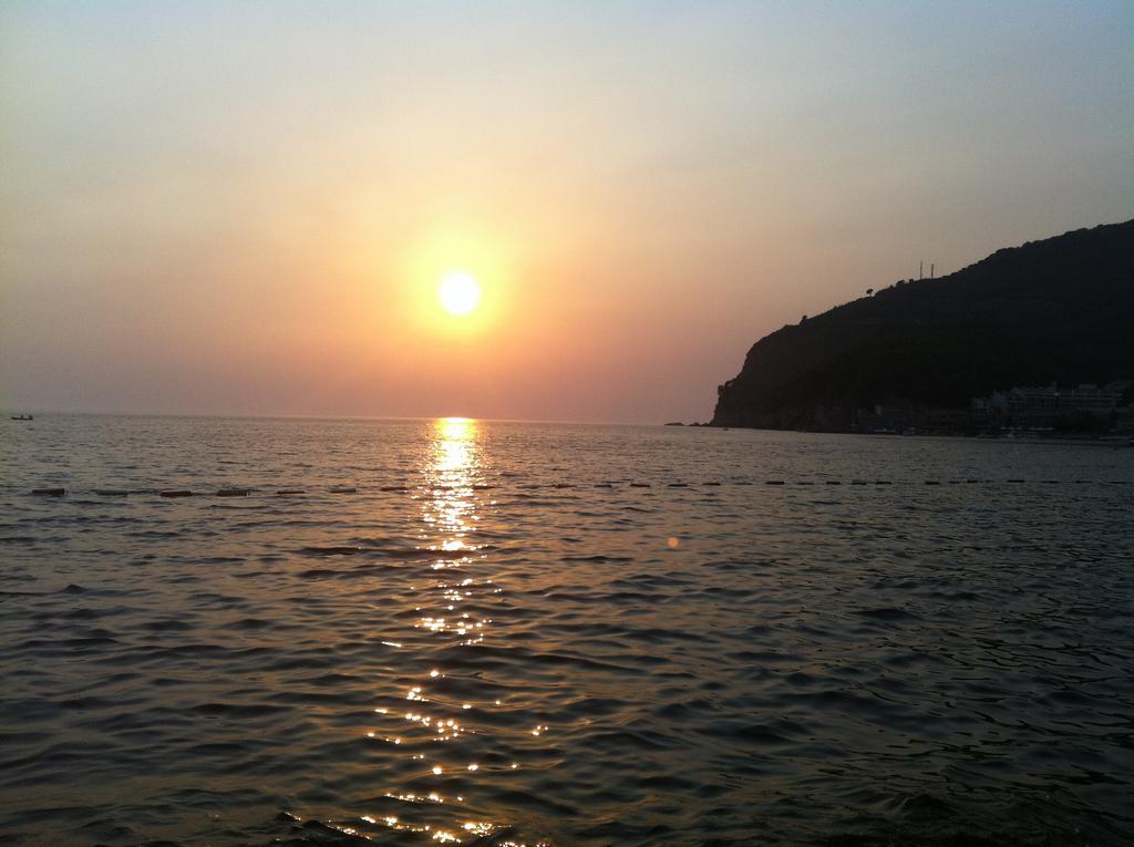 Regent Apartment Petrovac Oda fotoğraf